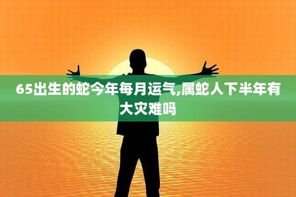 65出生的蛇今年每月运气,属蛇人下半年有大灾难吗