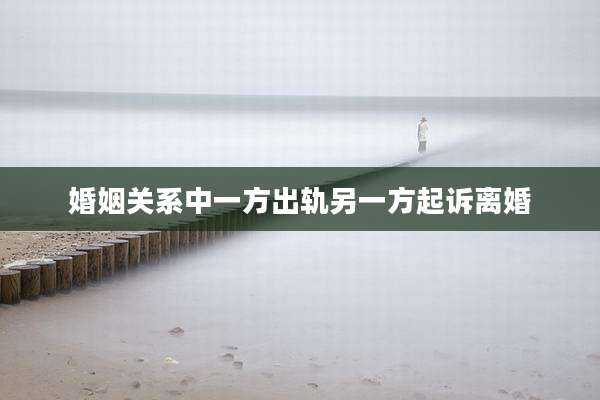 婚姻关系中一方出轨另一方起诉离婚