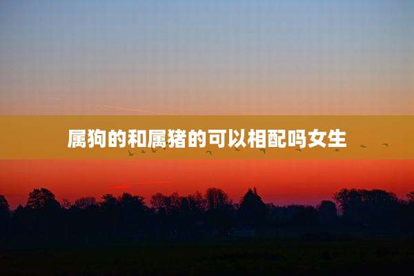 属狗的和属猪的可以相配吗女生