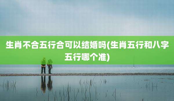 生肖不合五行合可以结婚吗(生肖五行和八字五行哪个准)