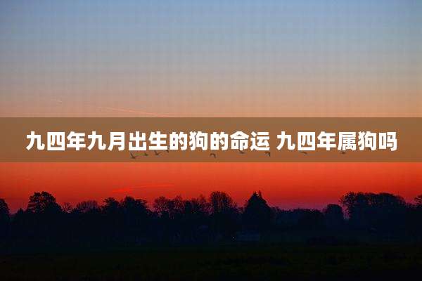 九四年九月出生的狗的命运 九四年属狗吗