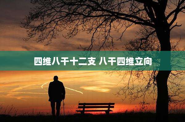 四维八干十二支 八干四维立向