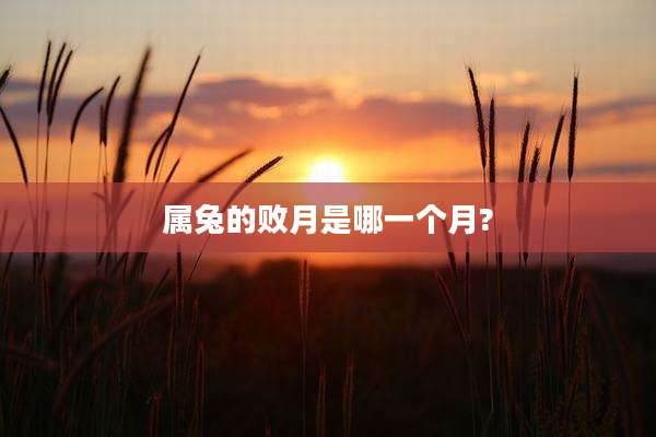 属兔的败月是哪一个月?