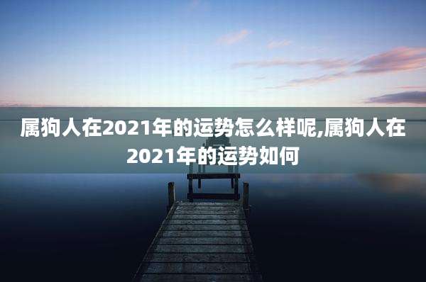 属狗人在2021年的运势怎么样呢,属狗人在2021年的运势如何