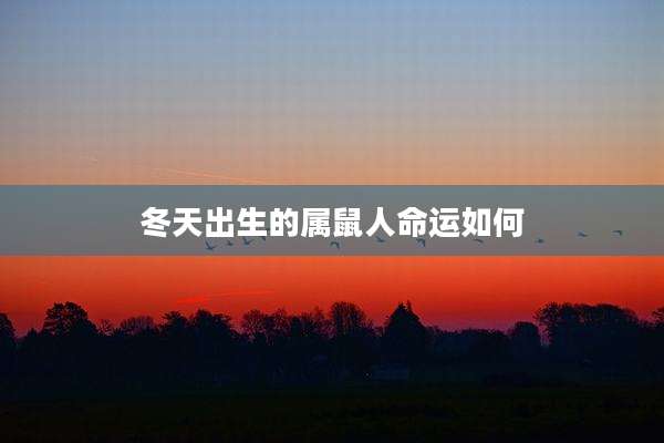 冬天出生的属鼠人命运如何