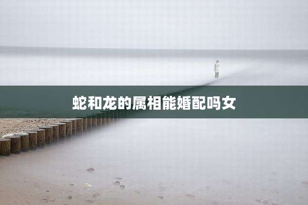 蛇和龙的属相能婚配吗女