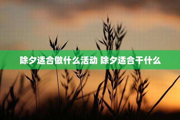 除夕适合做什么活动 除夕适合干什么