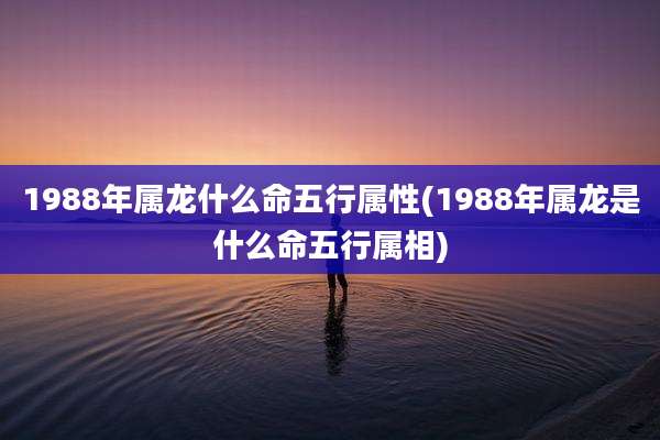 1988年属龙什么命五行属性(1988年属龙是什么命五行属相)