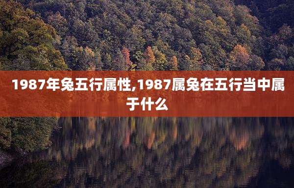1987年兔五行属性,1987属兔在五行当中属于什么