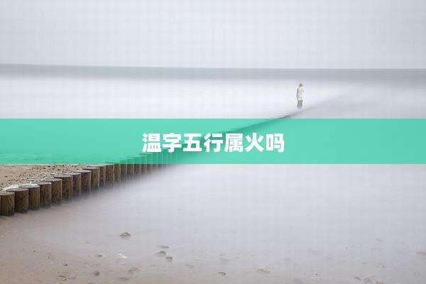 温字五行属火吗