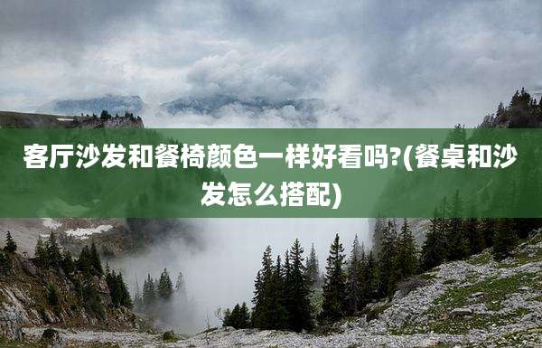 客厅沙发和餐椅颜色一样好看吗?(餐桌和沙发怎么搭配)