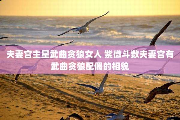 夫妻宫主星武曲贪狼女人 紫微斗数夫妻宫有武曲贪狼配偶的相貌