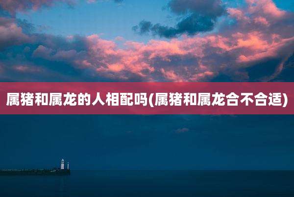 属猪和属龙的人相配吗(属猪和属龙合不合适)
