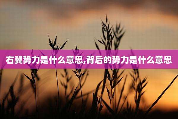 右翼势力是什么意思,背后的势力是什么意思