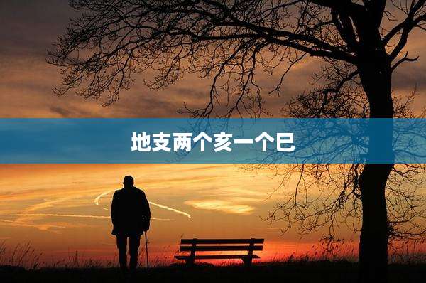 地支两个亥一个巳