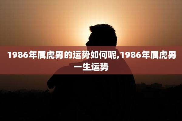 1986年属虎男的运势如何呢,1986年属虎男一生运势