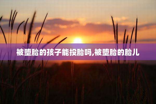 被堕胎的孩子能投胎吗,被堕胎的胎儿