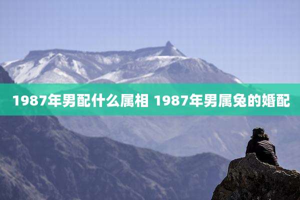 1987年男配什么属相 1987年男属兔的婚配