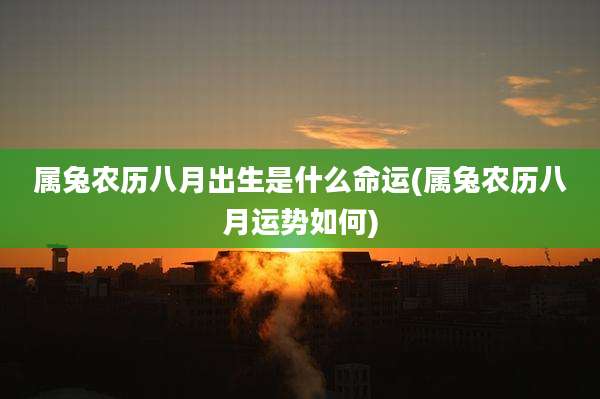 属兔农历八月出生是什么命运(属兔农历八月运势如何)