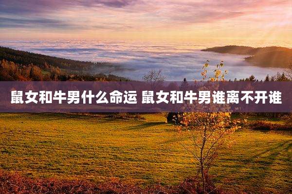 鼠女和牛男什么命运 鼠女和牛男谁离不开谁