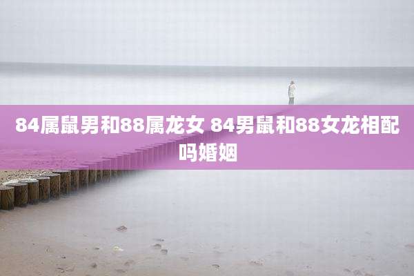 84属鼠男和88属龙女 84男鼠和88女龙相配吗婚姻