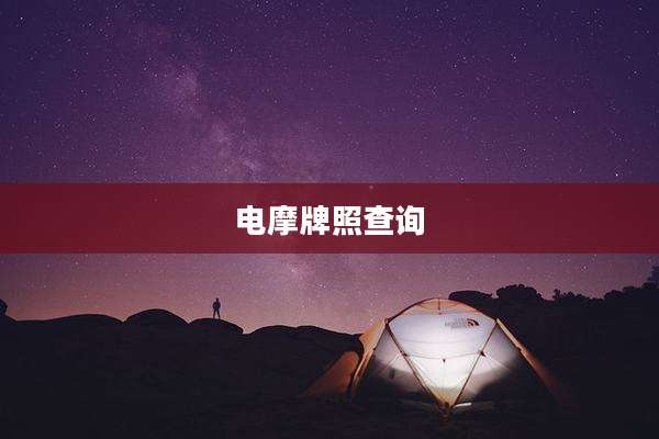 电摩牌照查询
