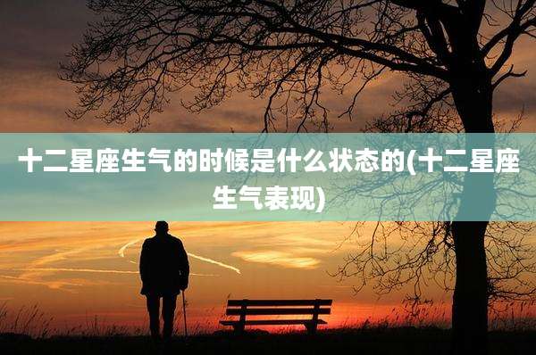 十二星座生气的时候是什么状态的(十二星座生气表现)