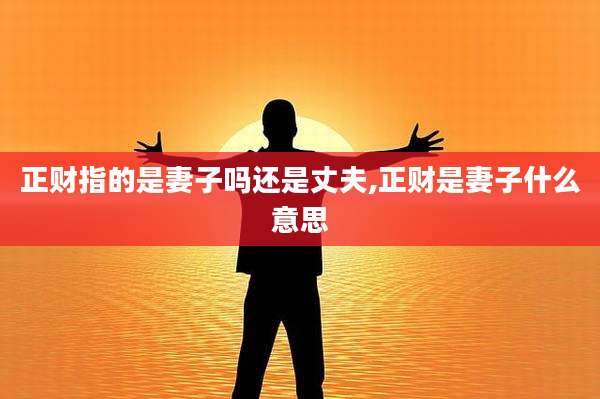 正财指的是妻子吗还是丈夫,正财是妻子什么意思