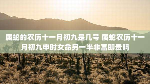 属蛇的农历十一月初九是几号 属蛇农历十一月初九申时女命另一半非富即贵吗