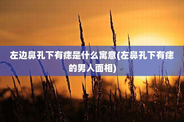 左边鼻孔下有痣是什么寓意(左鼻孔下有痣的男人面相)