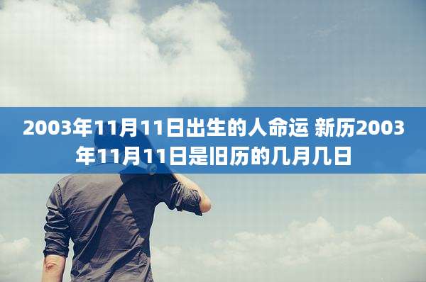 2003年11月11日出生的人命运 新历2003年11月11日是旧历的几月几日