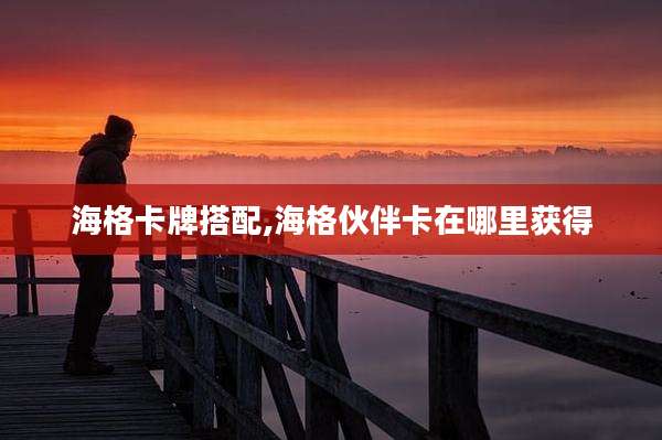 海格卡牌搭配,海格伙伴卡在哪里获得