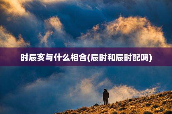 时辰亥与什么相合(辰时和辰时配吗)