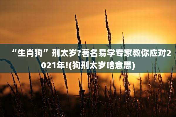 “生肖狗”刑太岁?著名易学专家教你应对2021年!(狗刑太岁啥意思)