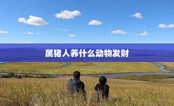 属猪人养什么动物发财
