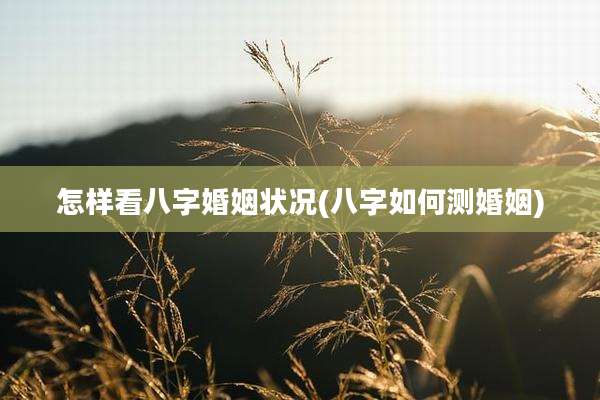 怎样看八字婚姻状况(八字如何测婚姻)