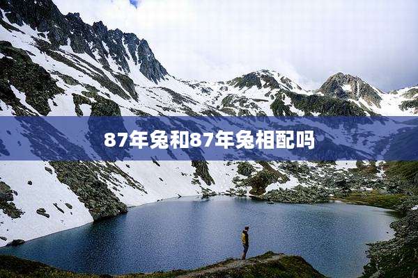 87年兔和87年兔相配吗