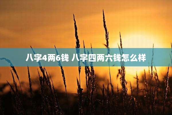 八字4两6钱 八字四两六钱怎么样
