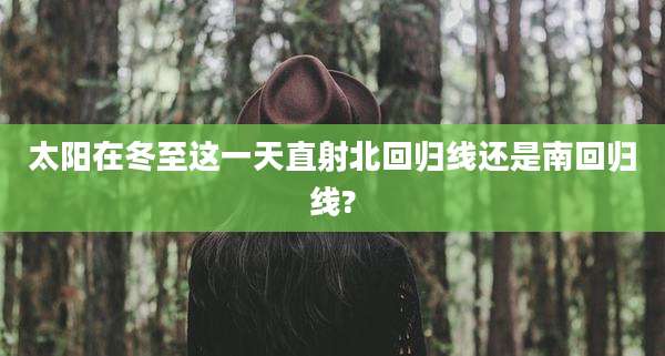 太阳在冬至这一天直射北回归线还是南回归线?