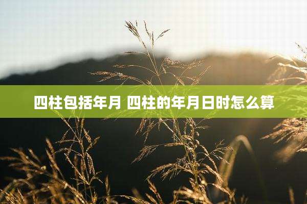 四柱包括年月 四柱的年月日时怎么算