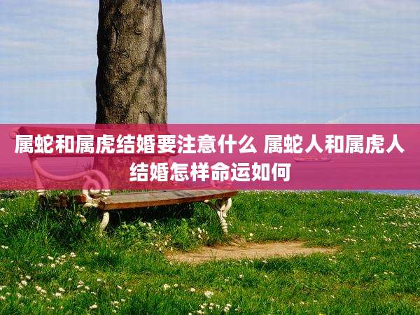 属蛇和属虎结婚要注意什么 属蛇人和属虎人结婚怎样命运如何