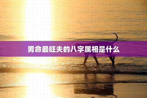男命最旺夫的八字属相是什么