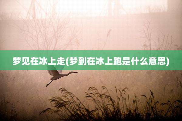 梦见在冰上走(梦到在冰上跑是什么意思)