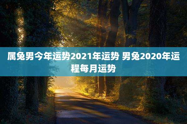 属兔男今年运势2021年运势 男兔2020年运程每月运势