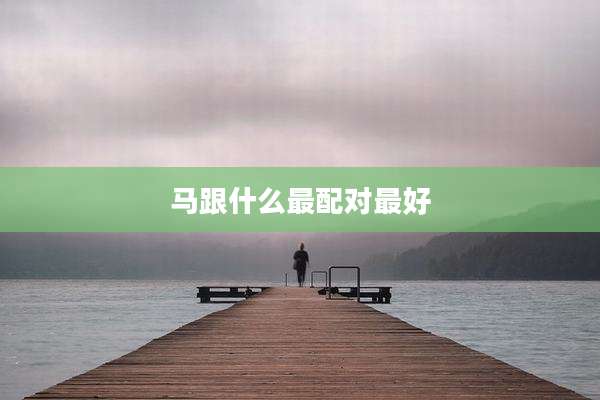 马跟什么最配对最好