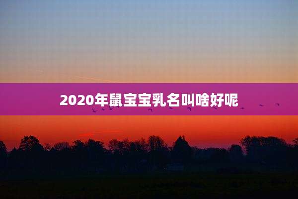 2020年鼠宝宝乳名叫啥好呢