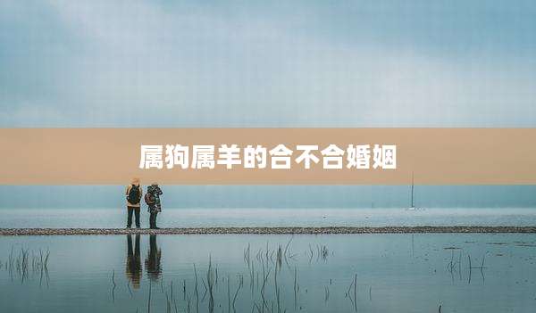 属狗属羊的合不合婚姻