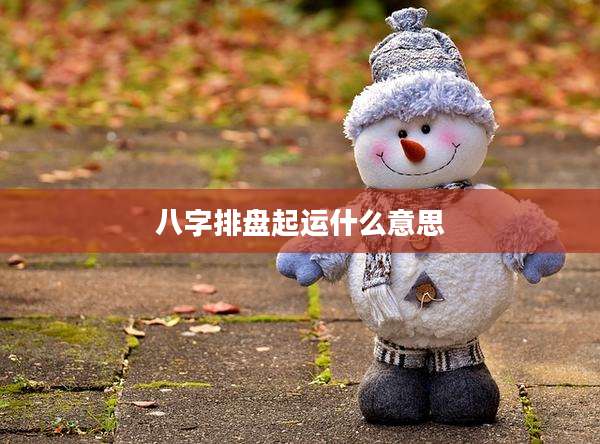 八字排盘起运什么意思