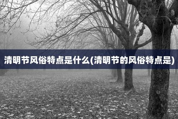 清明节风俗特点是什么(清明节的风俗特点是)