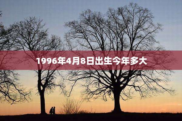 1996年4月8日出生今年多大